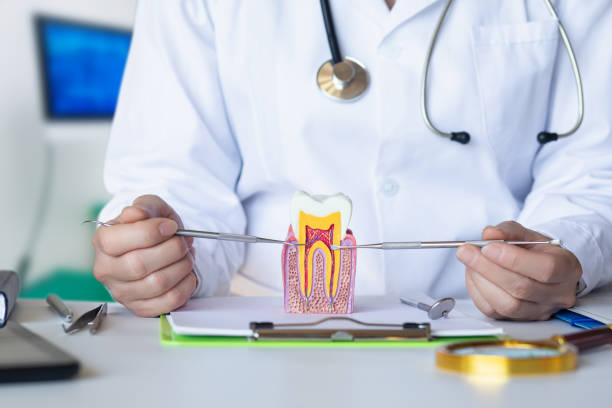 Best Broken or Cracked Tooth Emergency Dentist in Redwater, TX